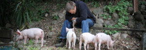 About Farm Animal Sanctuary