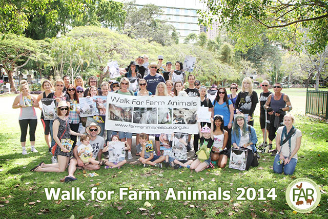 Walk for Farm Animals 2014