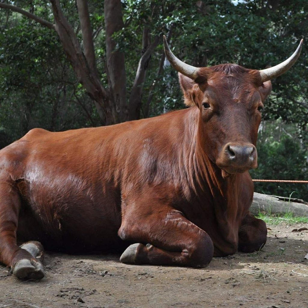 Fiona at sanctuary today