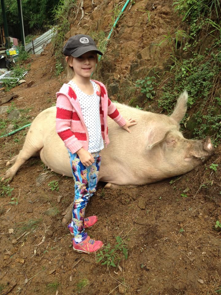 Portia and Young girl Portia with sanctuary visitor