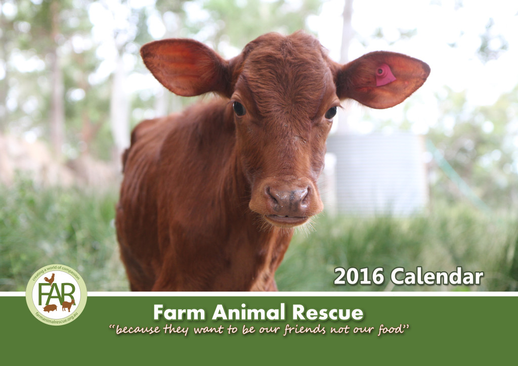 FAR 2016 calendar front cover