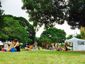 People sitting in the park at the FAR Gold Coast fund raiser