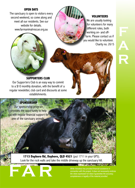 Farm Animal Rescue Farm Animal Rescue