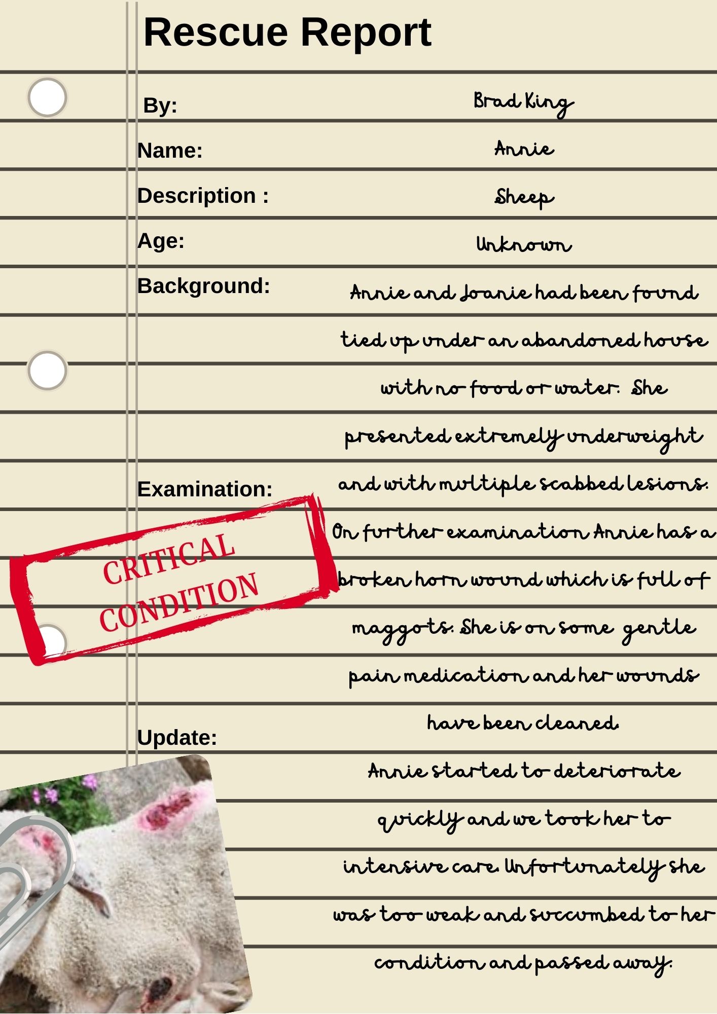 Annie Rescue Report Annie Rescue Report