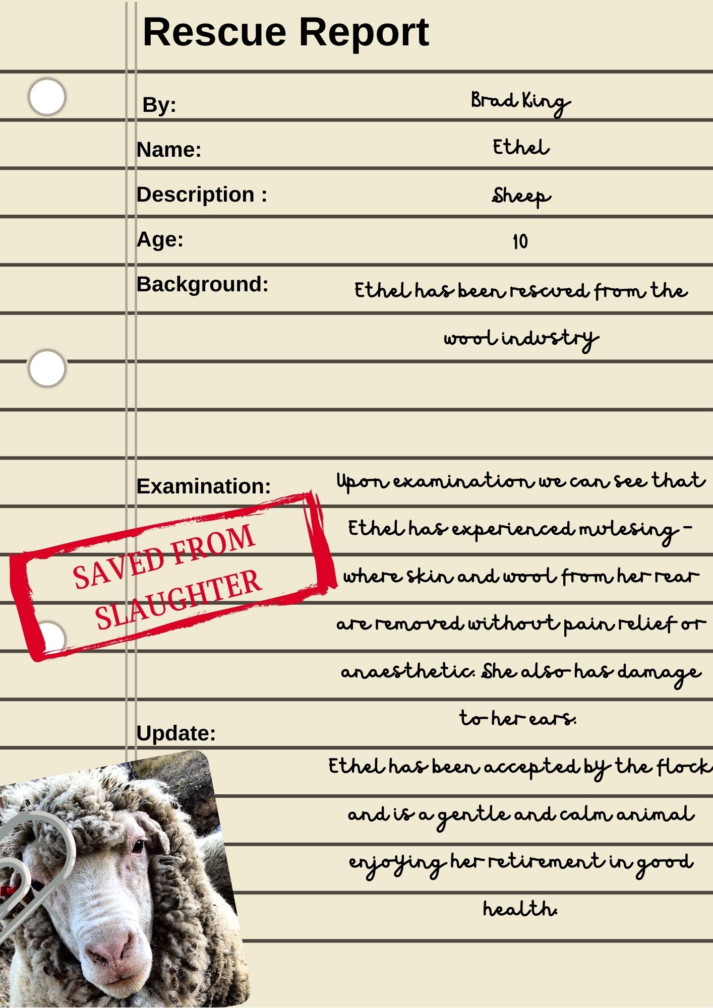 Ethel Rescue Report (2) Ethel Rescue Report