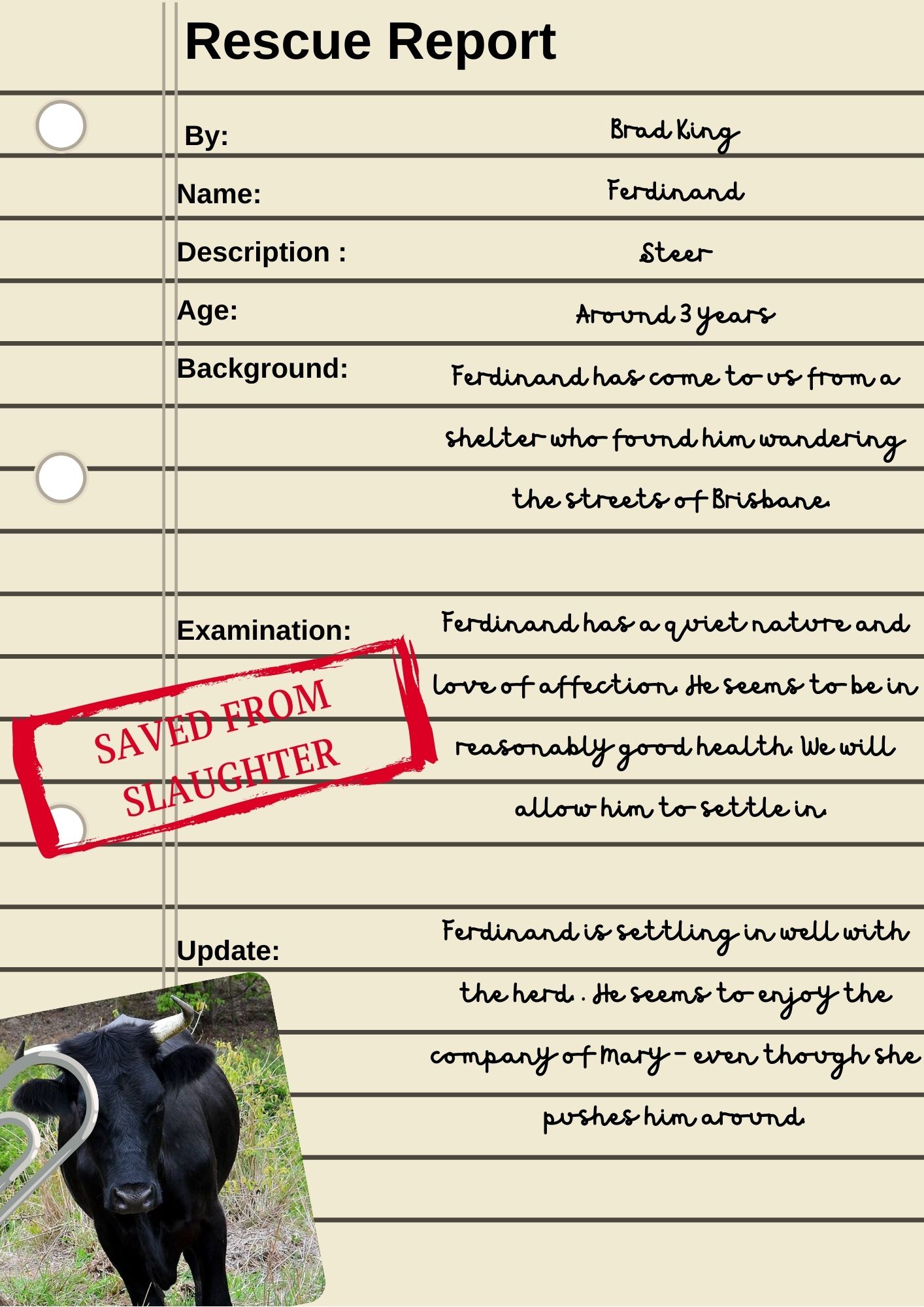 Ferdinand Rescue Report Ferdinand Rescue Report