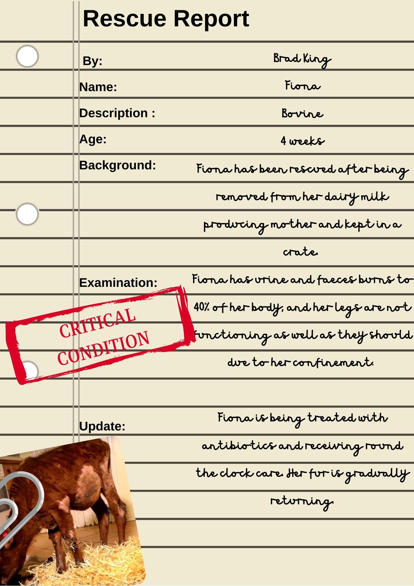 Fiona Rescue Report Fiona Rescue Report