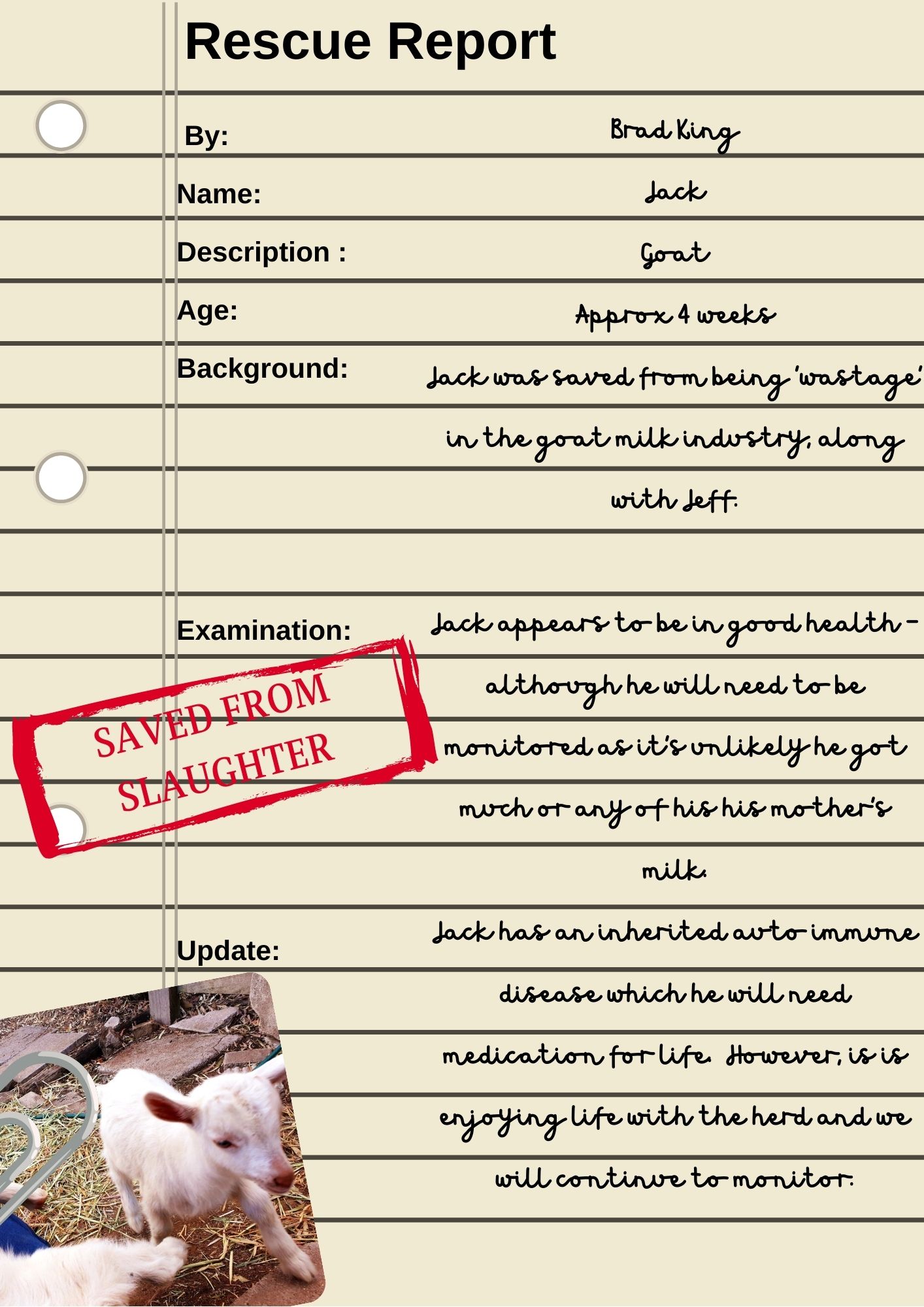 Jack Rescue Report Jack Rescue Report