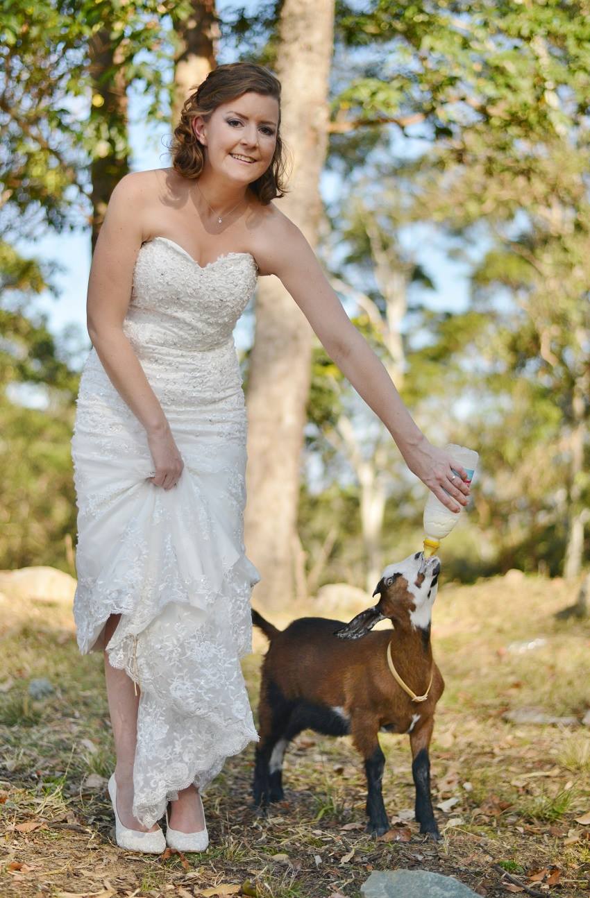 Lucy helps out a wedding held at Farm Animal Rescue. Pictured with a beautiful bride.