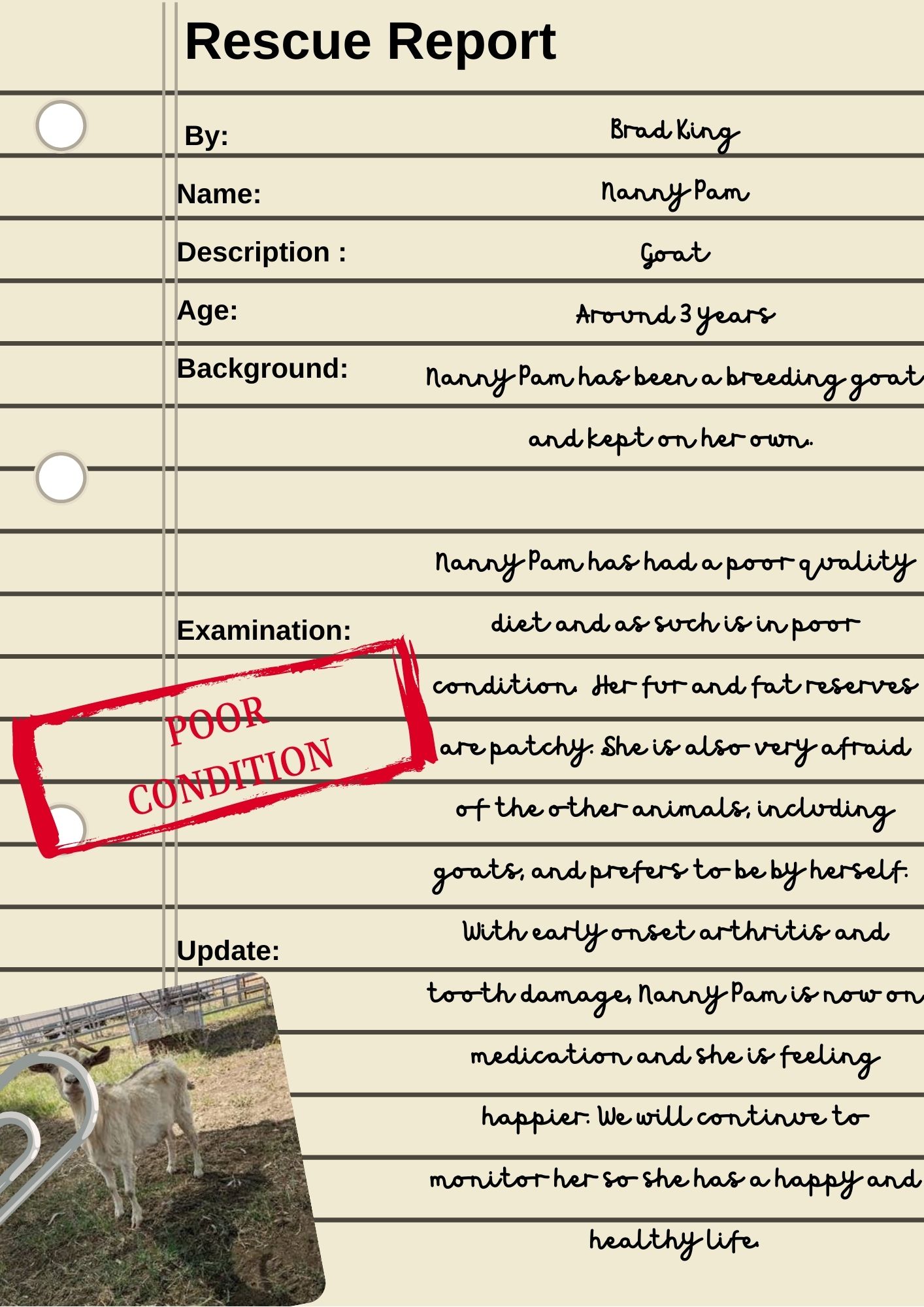 Nanny Pam Rescue Report Nanny Pam