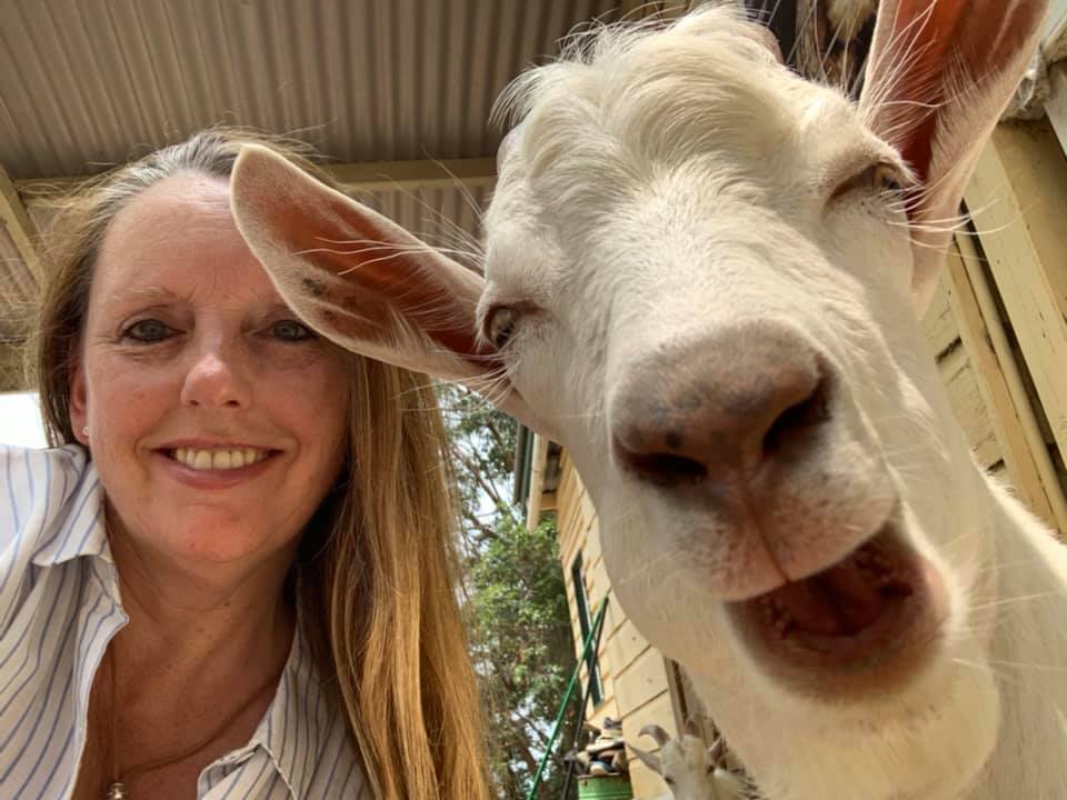 Rescued goat with visitor