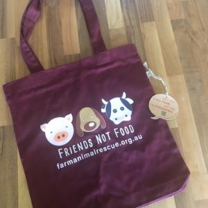 Tote - Rust - Friends not Food