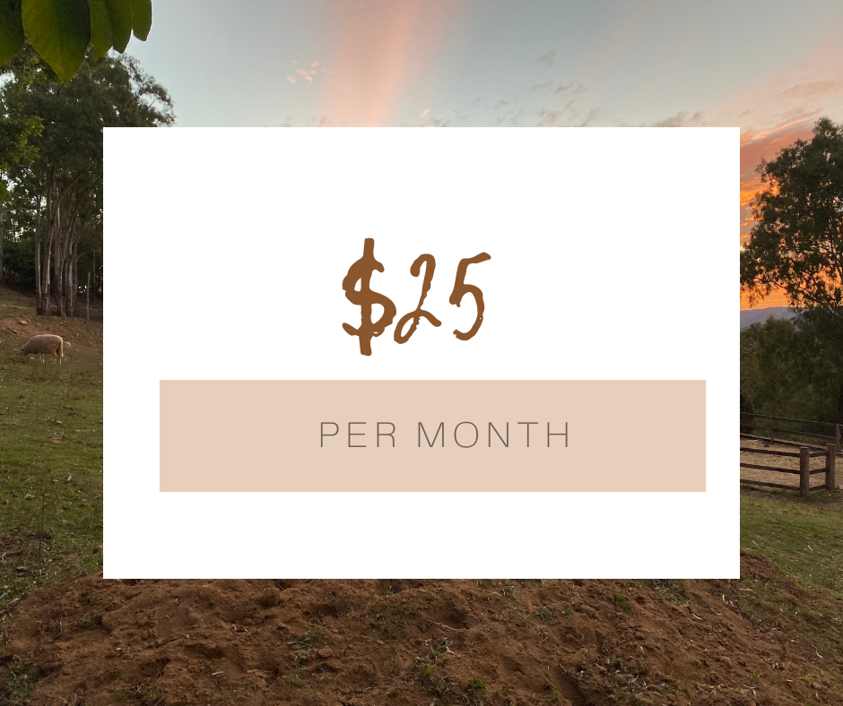 $25 month