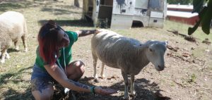 Sarah and rescued sheep