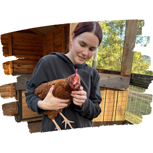 A sponsor holds her rescued chicken