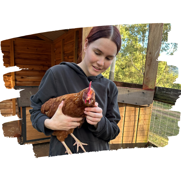 Chicken and her sponsor A sponsor holds her rescued chicken