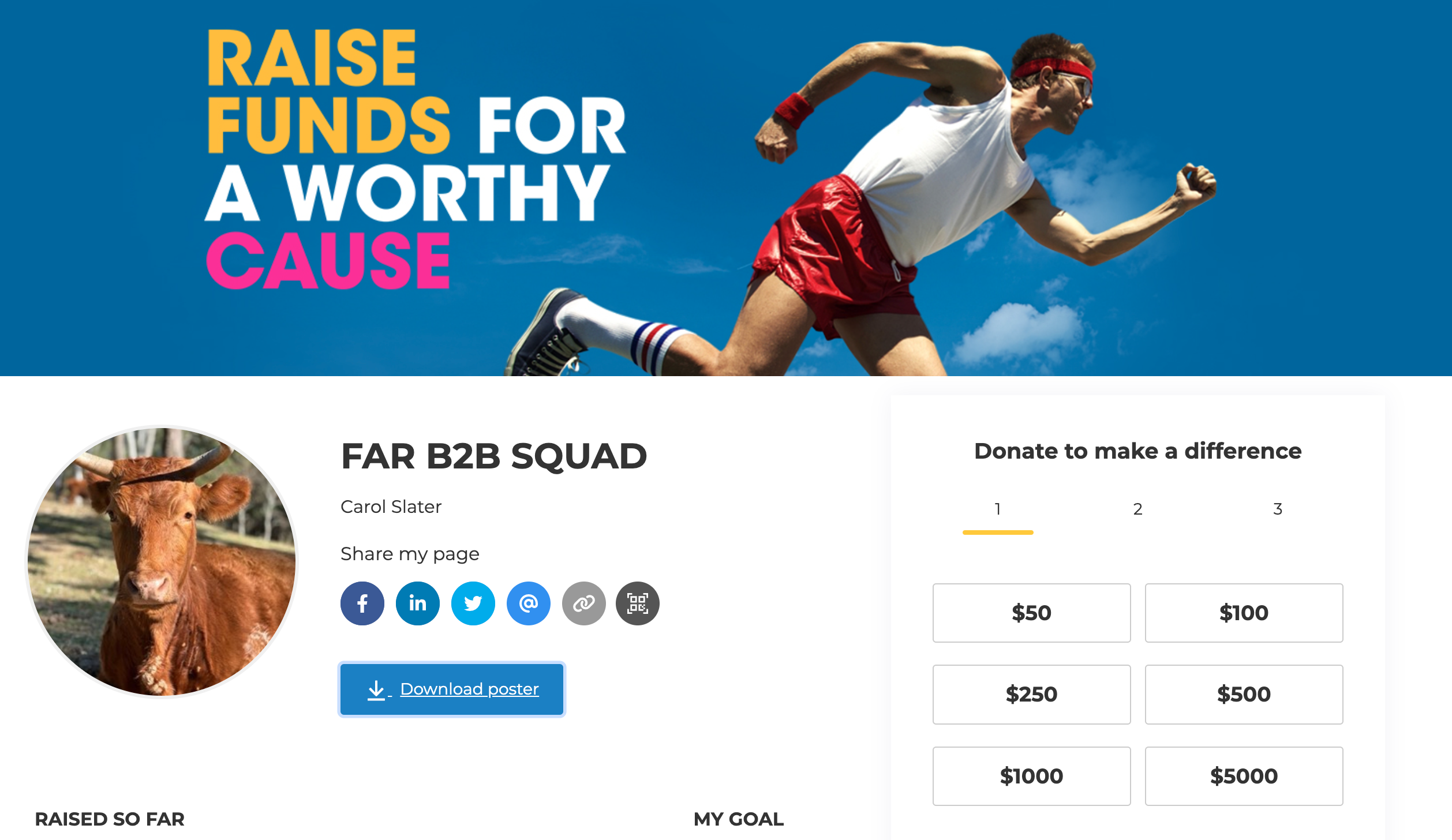 An image of the fundraising page for the B2B FAR event.