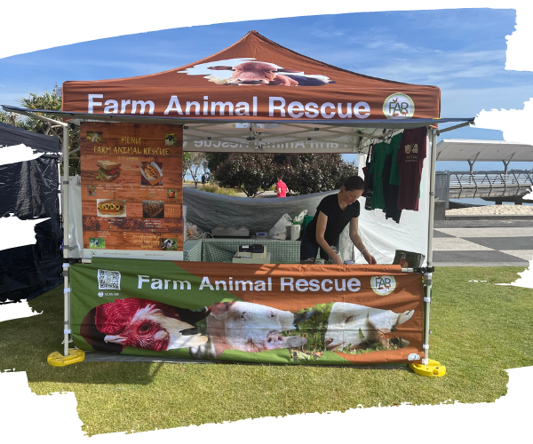 Events at Farm Animal Rescue