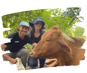 Visitors on Open Day with a rescued cow at Farm Animal Rescue
