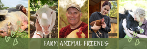 Farm Animal Friends