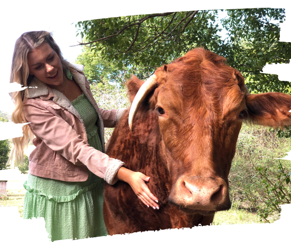 Open Day Tours Farm Animal Rescue