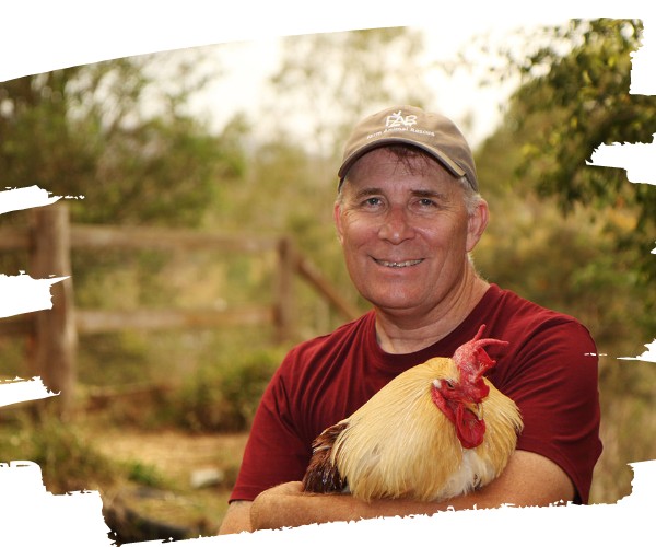 FAR Founder Brad King with Bubble the Rooster
