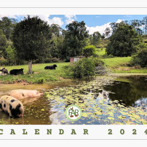 2024 Calendar