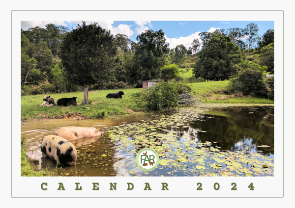 2024 Calendar
