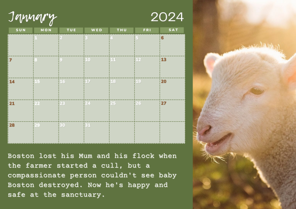 2024 Calendar - Image 3