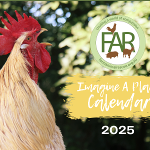 2025 Calendar