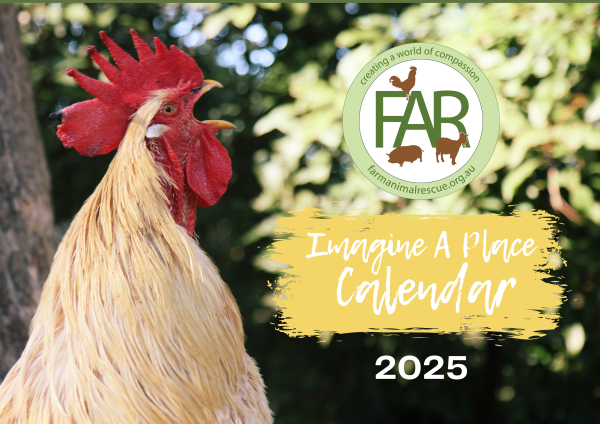 2025 Calendar
