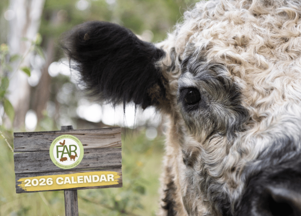 Calendar 2026