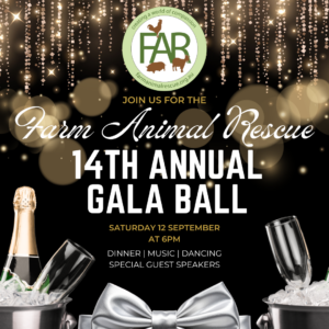 Raffle: FAR's Black Tie Gala Ball