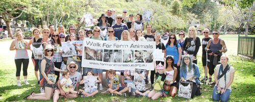 Walk for Farm Animals 2014