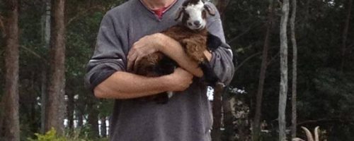 Rescued goat Lucy and Brad