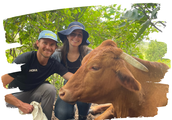 Visitors on Open Day with a rescued cow at Farm Animal Rescue