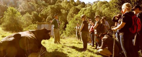 Visit the sanctuary tours